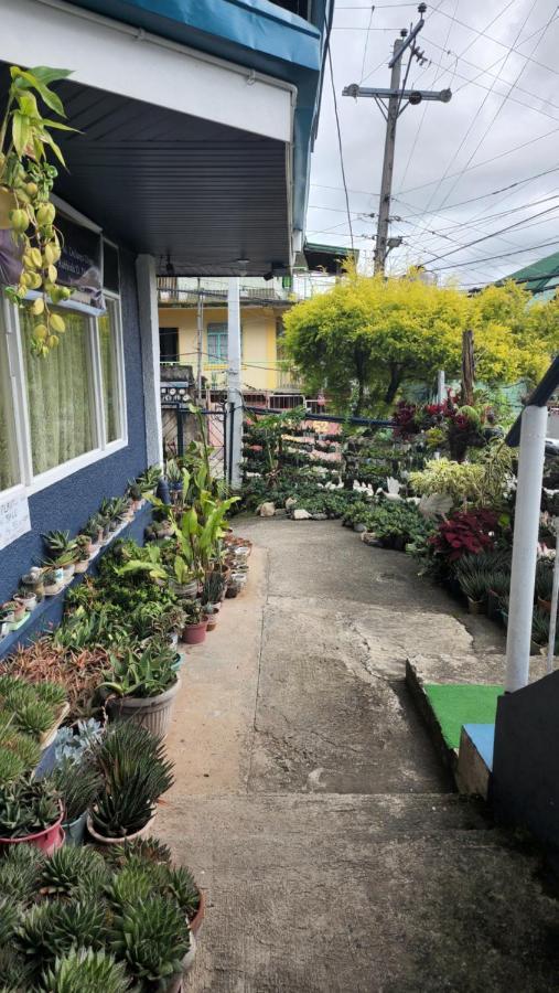 Havilah House Baguio City Exterior photo