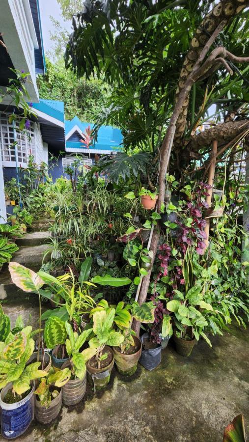 Havilah House Baguio City Exterior photo